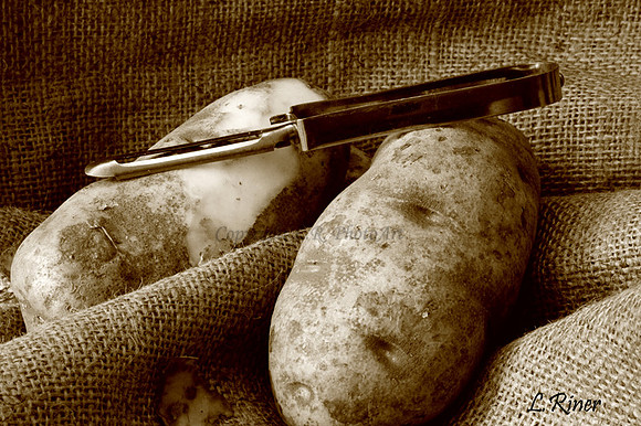 Spuds