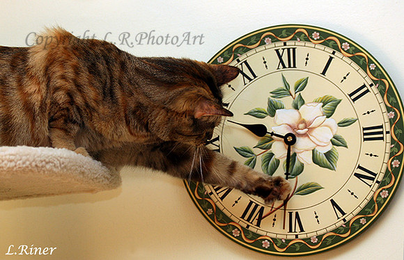 Time Change