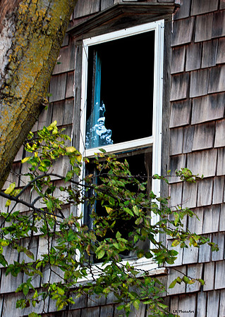 Window
