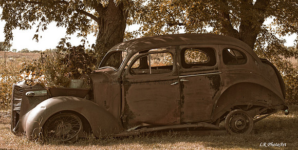 Rusty 4