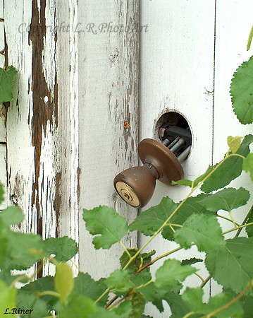 Shed door