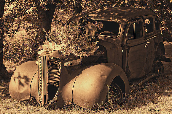 Rusty 2