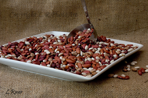 Bean Soup